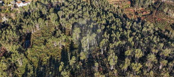 22060m² Land in Arnoia, Portugal No. 12309 8