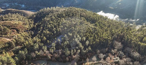 22060m² Land in Arnoia, Portugal No. 12309 3