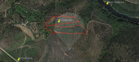 22060m² Land in Arnoia, Portugal No. 12309 12