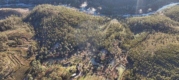 22060m² Land in Arnoia, Portugal No. 12309 2