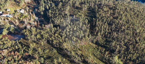 22060m² Land in Arnoia, Portugal No. 12309 7