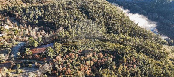 22060m² Land in Arnoia, Portugal No. 12309 5