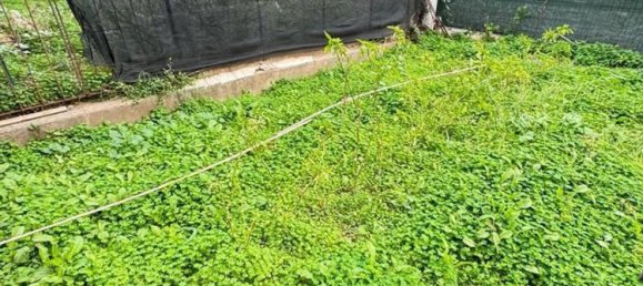 Apartamento de 4 habitaciónes en Lamezia Terme, Italy No. 269928 11