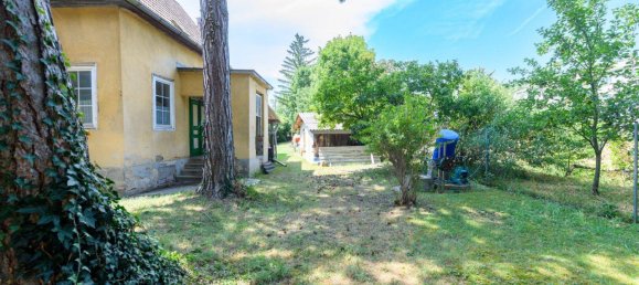 Terrain à Liesing, Austria No. 159166 2