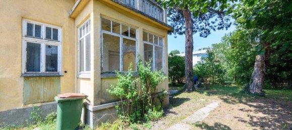 Terrain à Liesing, Austria No. 159166 5