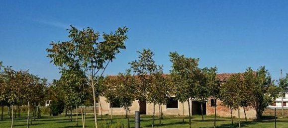 5 rooms House in Badia Polesine, Italy No. 253104 4