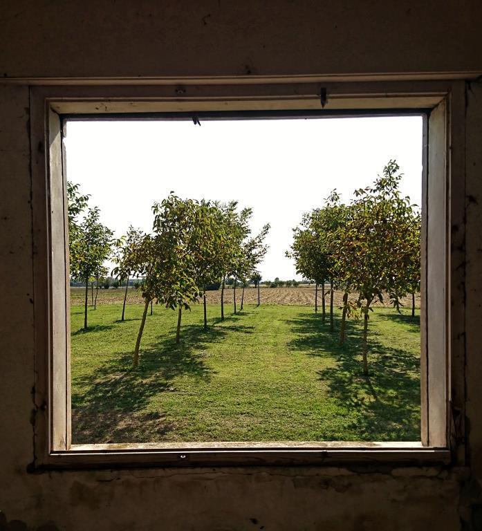 5 rooms House in Badia Polesine, Italy No. 253104