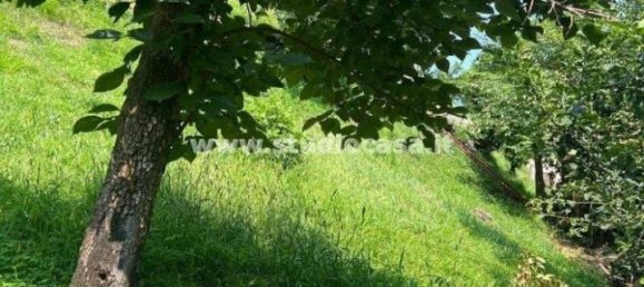 5 rooms House in Fonteno, Italy No. 33844 14