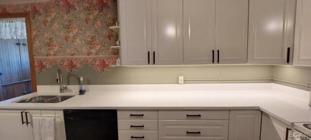 Дом с 3 спальнями в Эйдриан, США № 411510