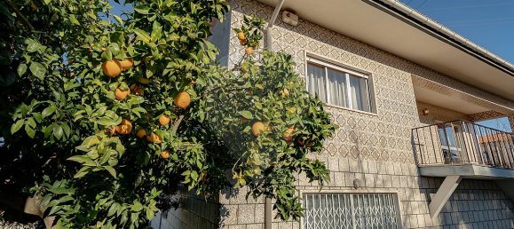 Casa de 3 dormitorios en Avelar, Portugal No. 22766 38