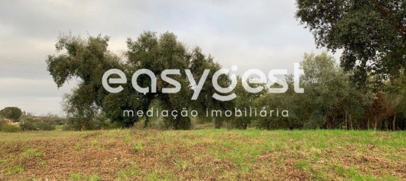 Grundstück in Condeixa a Nova, Portugal 340m², Nr. 87895 3