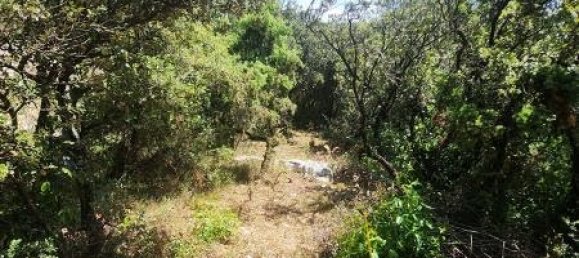 1075m² Land in Bourg-Saint-Andeol, France No. 305036 2