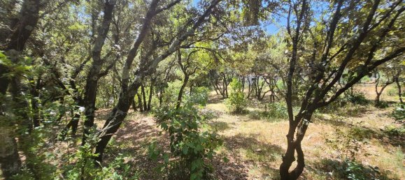 1075m² Land in Bourg-Saint-Andeol, France No. 305036 3