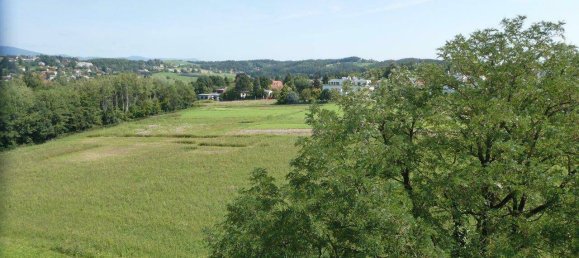 Дуплекс с 5 комнатами в Вальтендорф, Австрия № 188955 23