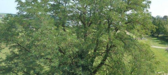 Дуплекс с 5 комнатами в Вальтендорф, Австрия № 188955 17