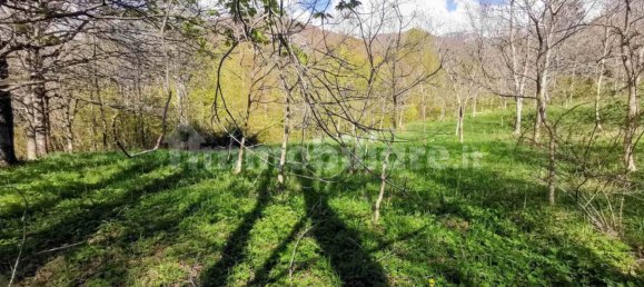 3 Schlafzimmer Haus in Fiumalbo, Italy, Nr. 262725 5