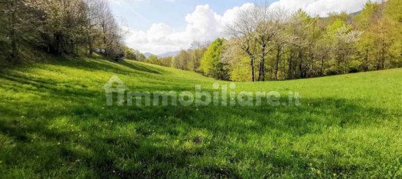 3 Schlafzimmer Haus in Fiumalbo, Italy, Nr. 262725 4