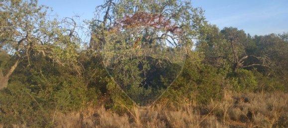 Grundstück in Olhao, Portugal 25720m², Nr. 32427 4