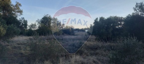 Grundstück in Olhao, Portugal 25720m², Nr. 32427 13