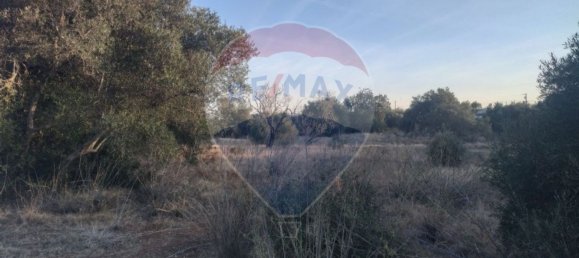 Grundstück in Olhao, Portugal 25720m², Nr. 32427 10