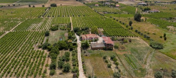 Замки и поместья с 3 спальнями в Палмела, Португалия № 119899 6