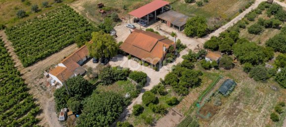 Замки и поместья с 3 спальнями в Палмела, Португалия № 119899 4