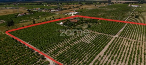 Замки и поместья с 3 спальнями в Палмела, Португалия № 119899 10