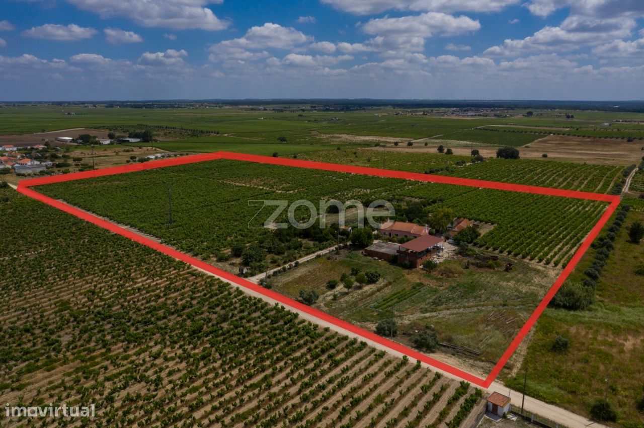 Замки и поместья с 3 спальнями в Палмела, Португалия № 119899