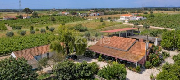 Замки и поместья с 3 спальнями в Палмела, Португалия № 119899 3