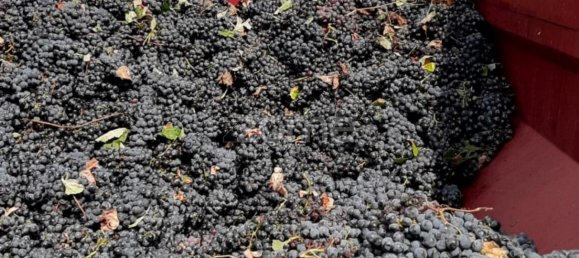 Замки и поместья с 3 спальнями в Палмела, Португалия № 119899 15