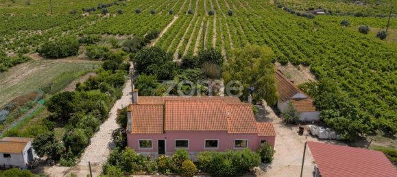 Замки и поместья с 3 спальнями в Палмела, Португалия № 119899 5