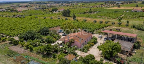 Замки и поместья с 3 спальнями в Палмела, Португалия № 119899 2