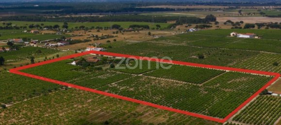 Замки и поместья с 3 спальнями в Палмела, Португалия № 119899 9