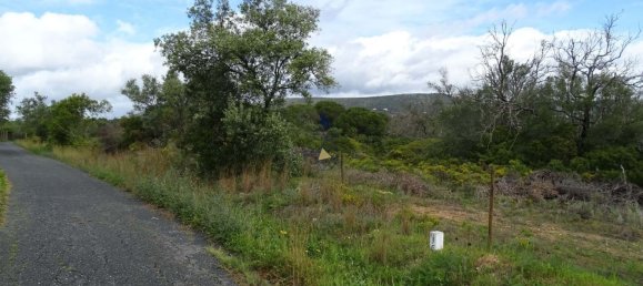 68550m² Land in Almancil, Portugal No. 88541 21