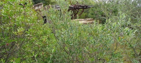 68550m² Land in Almancil, Portugal No. 88541 10