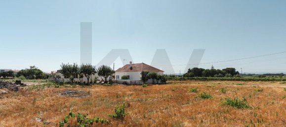 7 Schlafzimmer Villa in Alpiarca, Portugal, Nr. 239169 26