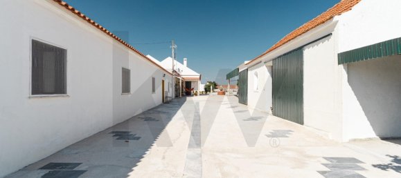 7 Schlafzimmer Villa in Alpiarca, Portugal, Nr. 239169 36