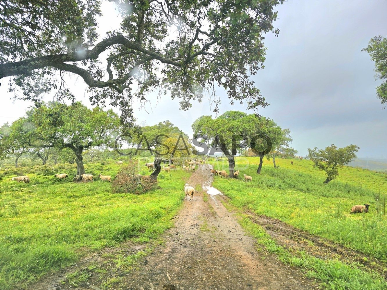 Grundstück in Quarteira, Portugal, Nr. 191011