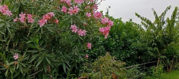 2 Schlafzimmer Wohnung in Besana in Brianza, Italy, Nr. 313863 2