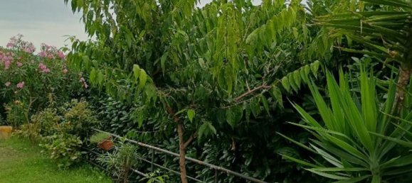 2 Schlafzimmer Wohnung in Besana in Brianza, Italy, Nr. 313863 9