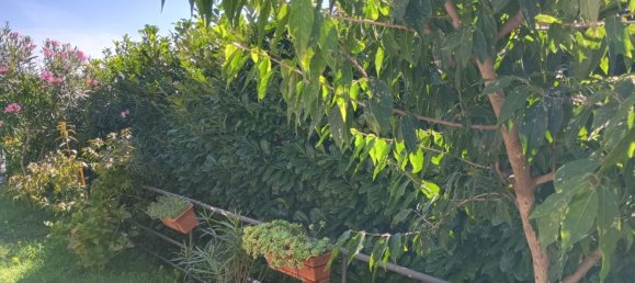 2 Schlafzimmer Wohnung in Besana in Brianza, Italy, Nr. 313863 3