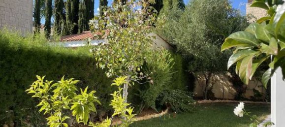 3 chambres Propriété commerciale à Souni–Zanatzia, Cyprus No. 20395 14