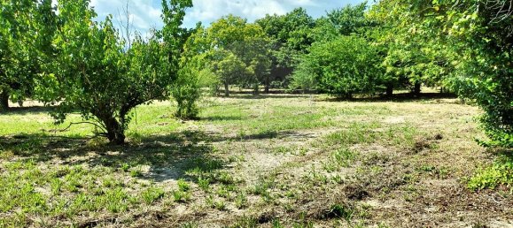 5 غرف نوم منزل في Vouzela, Portugal رقم 19040 7