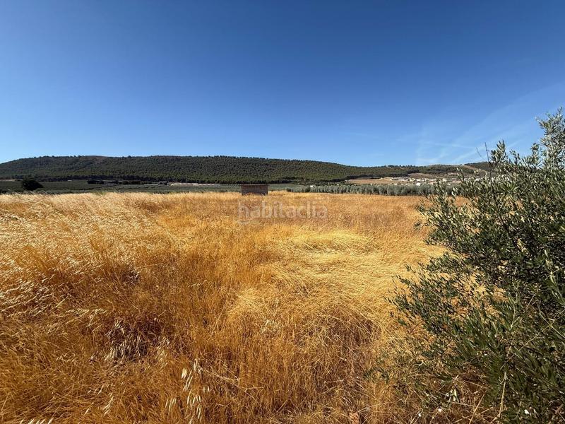 Земельный участок 15600м² в Малага, Испания № 203580