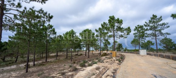Terreno en Grandola, Portugal 335 m² No. 75250 10