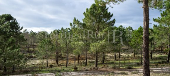 Terreno en Grandola, Portugal 335 m² No. 75250 9