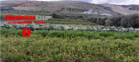 Land in San Felice a Cancello, Italy No. 319383 4