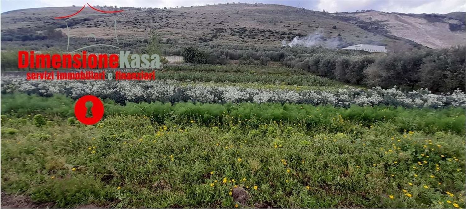  Land in San Felice a Cancello, Italy No. 319383