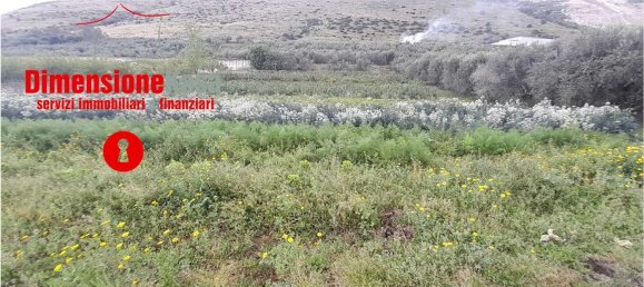 Land in San Felice a Cancello, Italy No. 319383 11