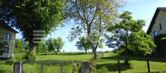 Land in Wels, Austria No. 243460 3